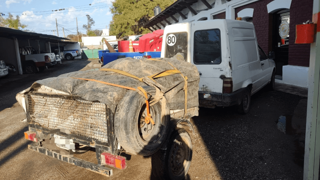 LA POLICÍA SECUESTRÓ 150 BOLSAS DE CARBÓN FLOJAS DE PAPELES