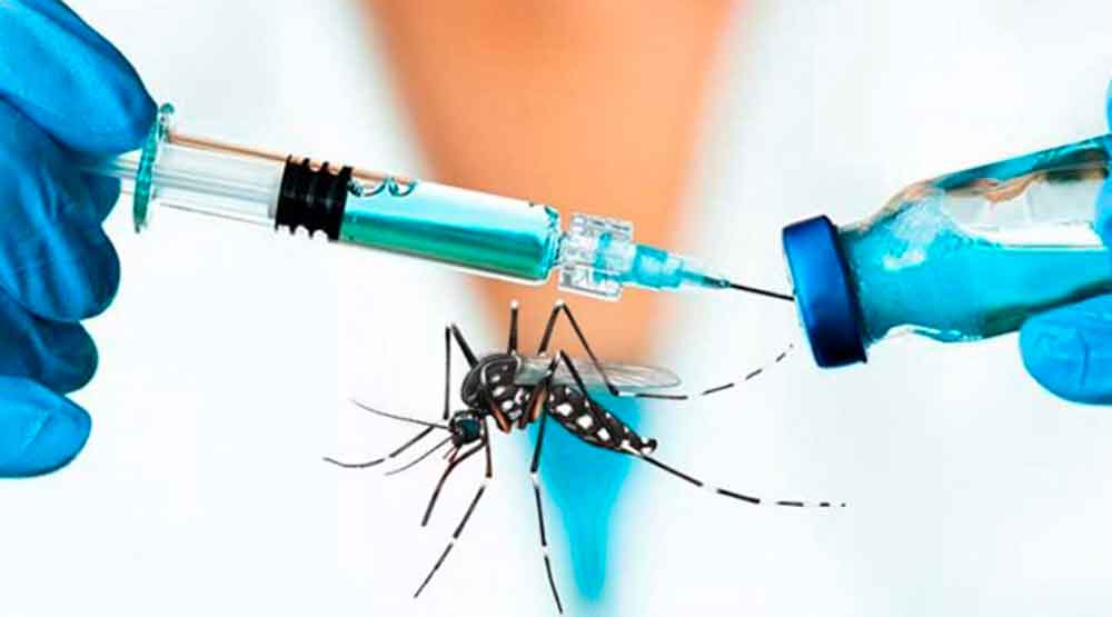 LA ANMAT APROBÓ LA UTILIZACIÓN EN NUESTRO PAÍS DE UNA VACUNA JAPONESA CONTRA EL DENGUE