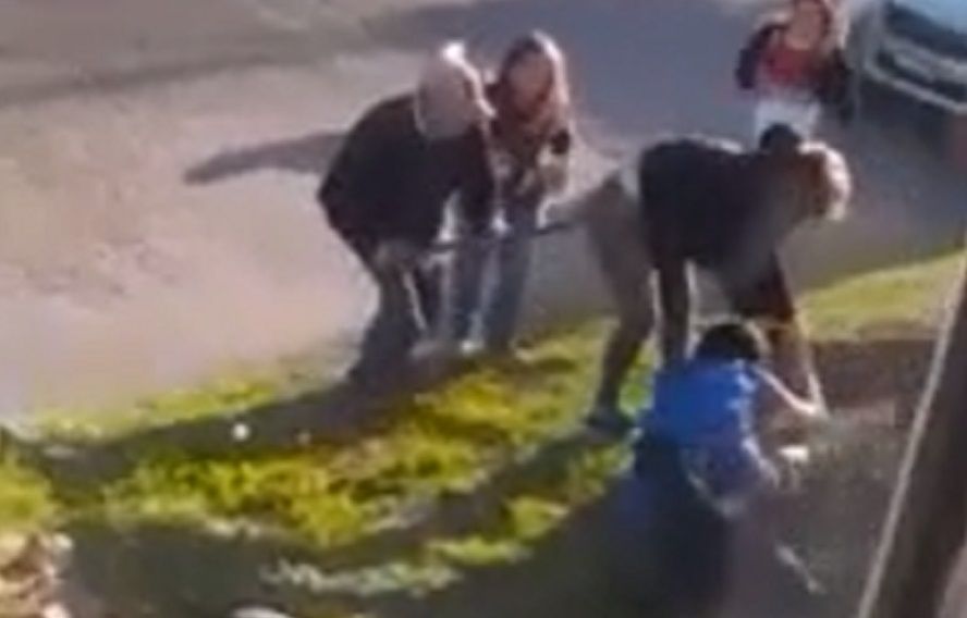 “¡SE LO COME!”: EL DRAMÁTICO VIDEO DEL ATAQUE DE UN PERRO A UN JOVEN QUE SALIÓ A CAMINAR CON SU MADRE