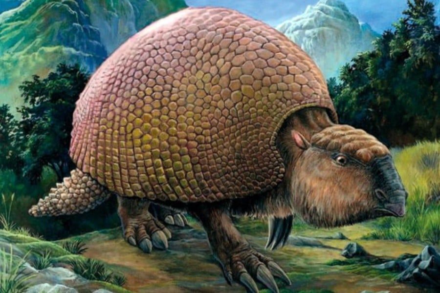 HALLARON PARTE DE UN “DINOSAURIO” EN JESUS MARÍA