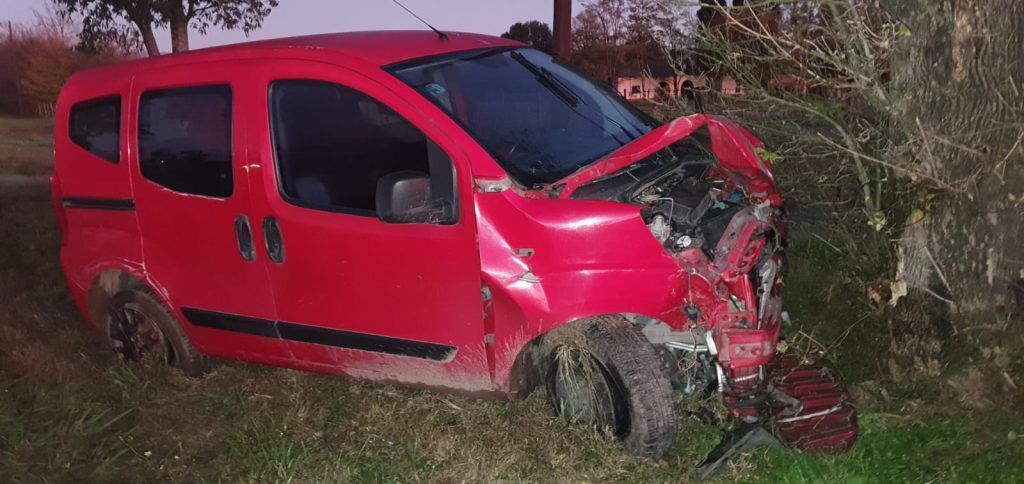 LA PAMPA: SE LE CRUZÓ UN PERRO Y TERMINÓ CHOCANDO CONTRA UN ÁRBOL