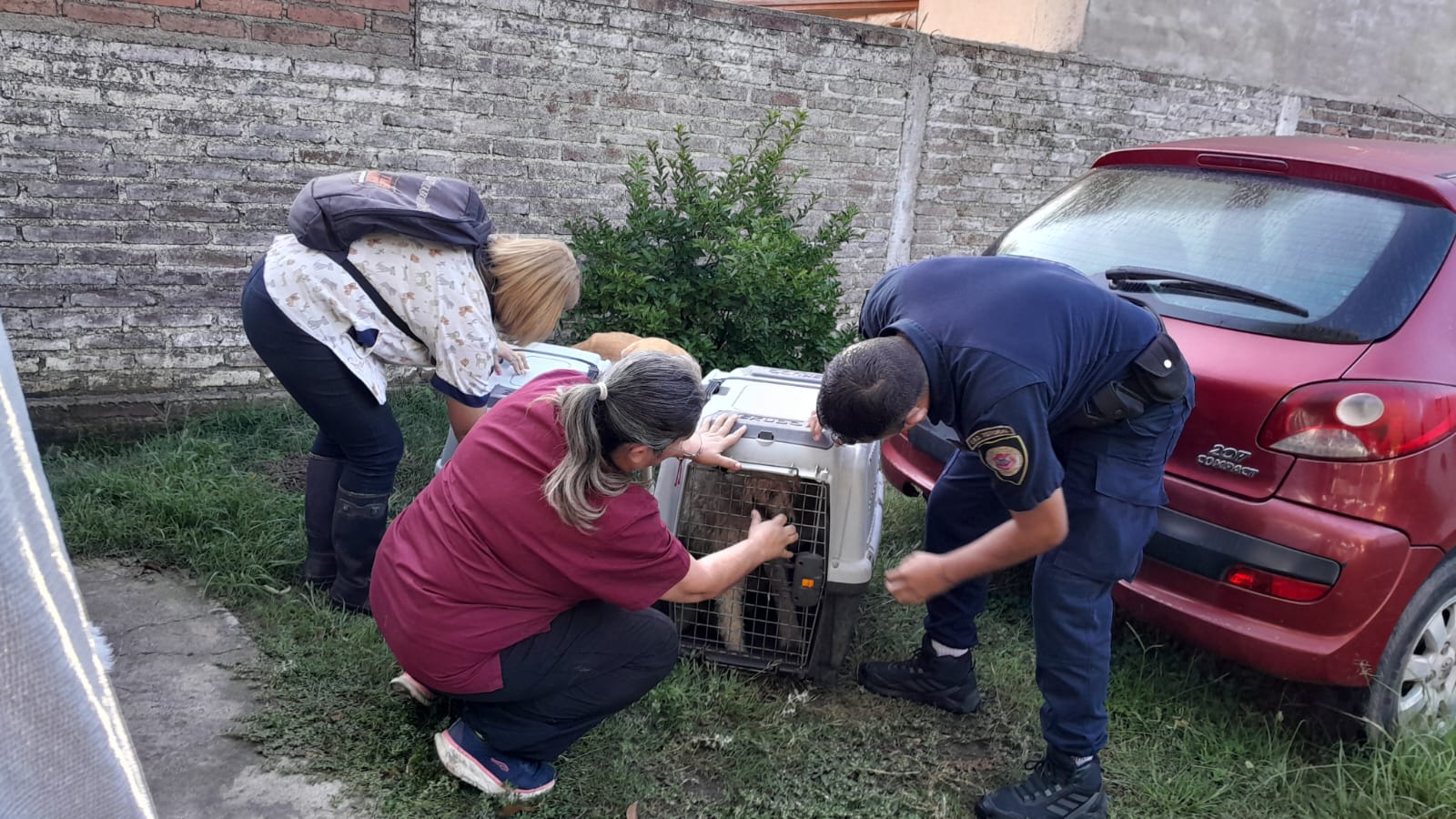 LA MUNICIPALIDAD DE SINSACATE RESCATÓ TRES PERROS DESNUTRIDOS DE UNA VIVIENDA