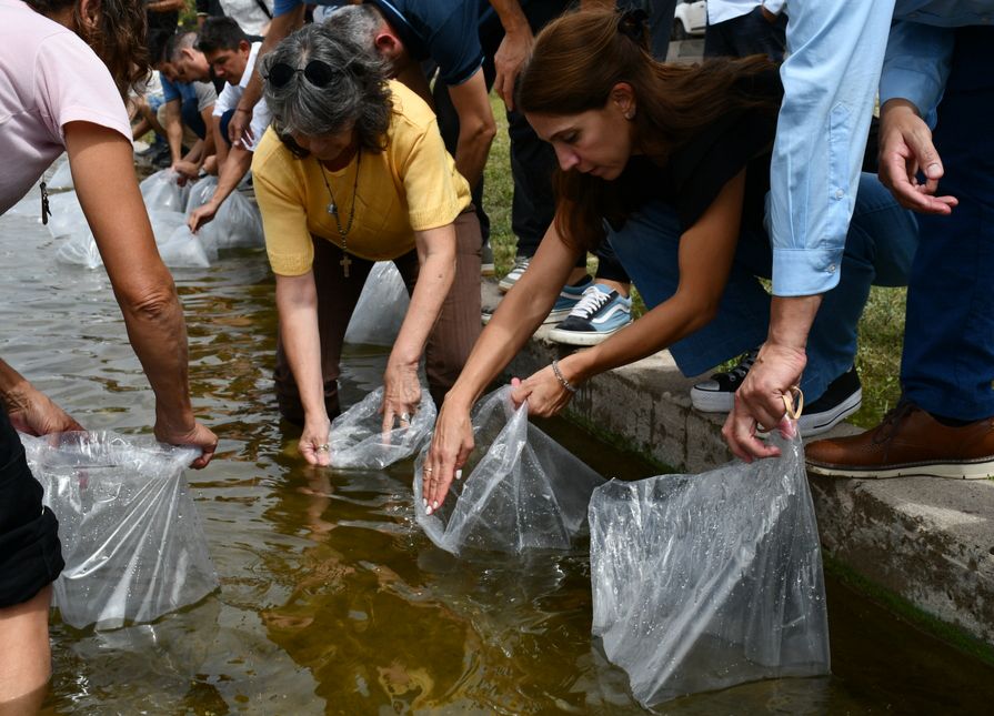 SIEMBRAN PEJERREYES PARA FORTALECER LA BIODIVERSIDAD EN EL EMBALSE DE CRUZ DEL EJE
