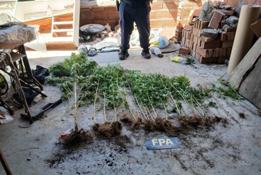 SAN MARCOS SIERRAS: UN DETENIDO Y SECUESTRO DE ELEMENTOS VINCULADOS A UN ROBO Y NARCOTRÁFICO