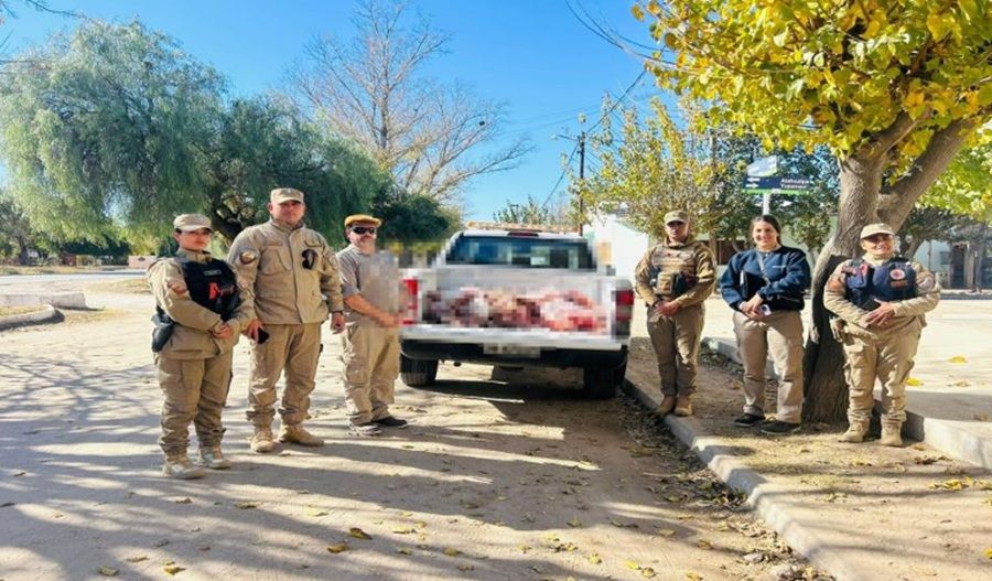 SECUESTRAN MÁS DE 60 KILOS DE CARNE PORCINA EN UNA CARNICERÍA DE PASO VIEJO POR FAENA CLANDESTINA