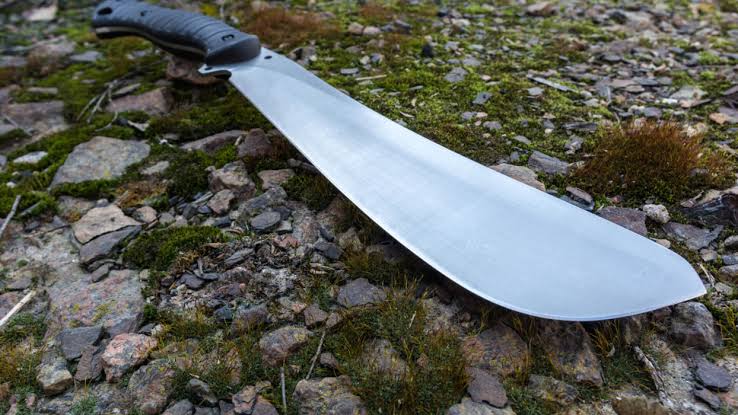 CÓRDOBA: UN JOVEN ATACÓ A SU HERMANO CON UN MACHETE Y QUEDÓ DETENIDO