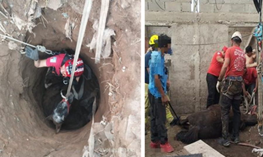 EL DUAR Y BOMBEROS RESCATARON A UN CABALLO QUE CAYÓ A UN POZO CIEGO EN CRUZ DEL EJE