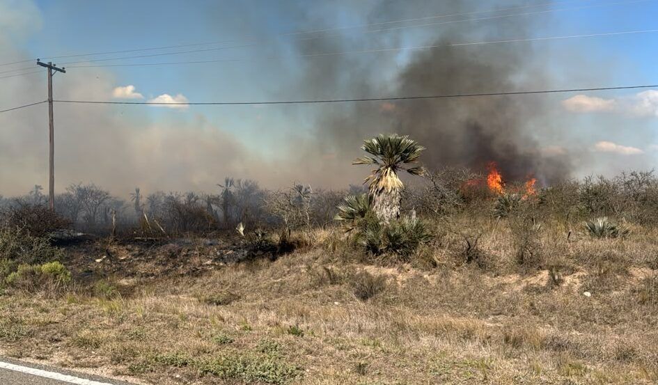 SOFOCARON UN IMPORTANTE INCENDIO CERCA DE CHAÑAR